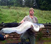 Fishery Catfish Record 70lb 1.jpg